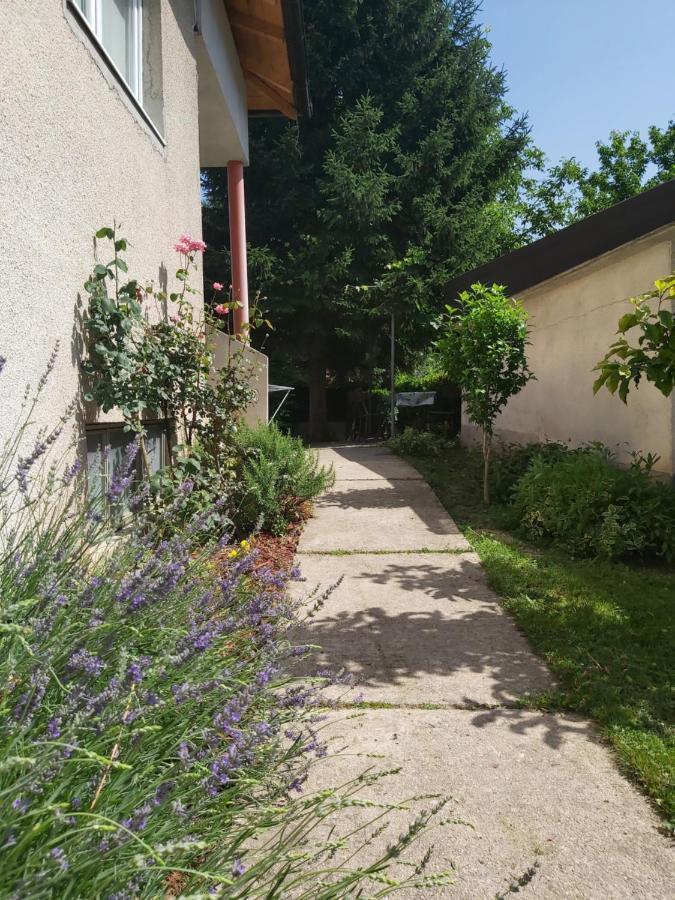 Sadrvan Una Apartment Bihać Exteriör bild